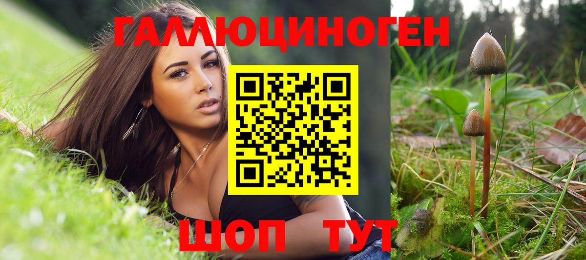 Галлюциногенные грибы мицелий Арзамас