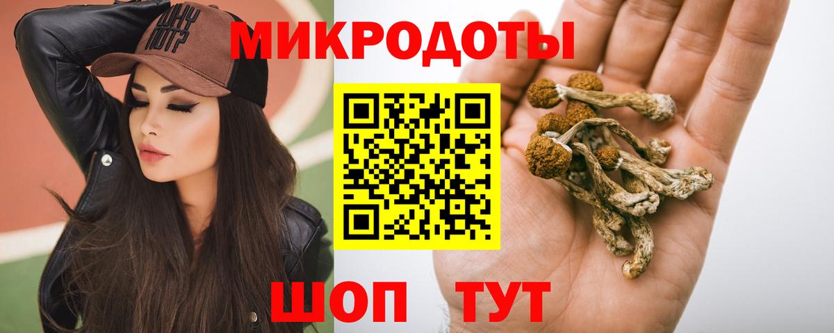 Галлюциногенные грибы Psilocybine cubensis  Псилоцибиновые грибы Psilocybine cubensis  Арзамас  Вход с VPN 